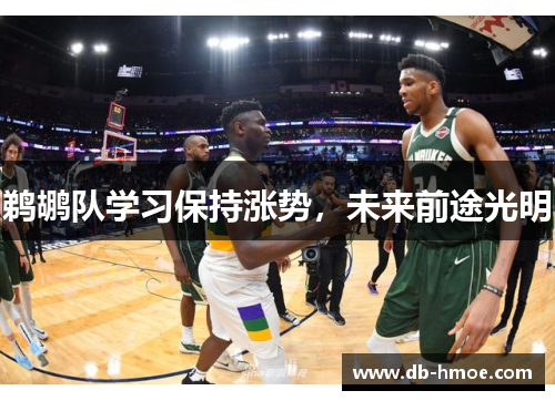 鹈鹕队学习保持涨势，未来前途光明